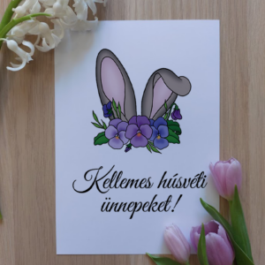 nyuszis tulip jácint